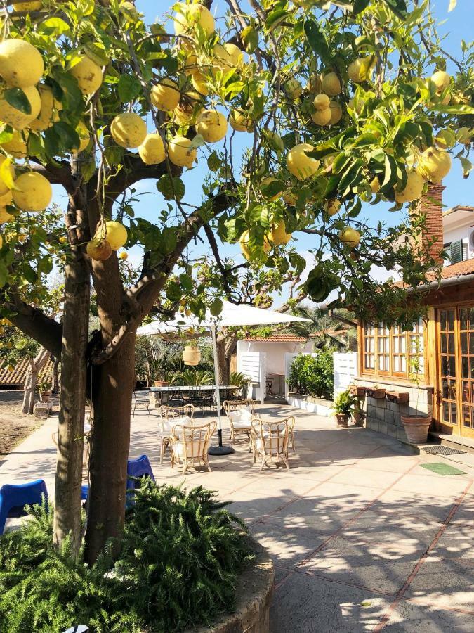 Bed and Breakfast Casa Lucia Sorrent Exterior foto