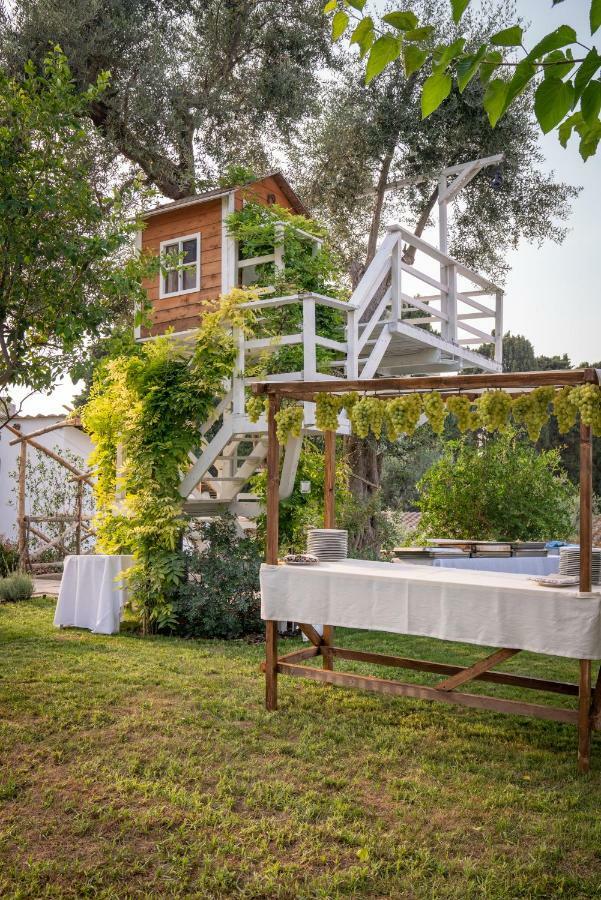Bed and Breakfast Casa Lucia Sorrent Exterior foto